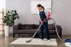 lead carpet cleaner job description