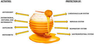 phenolic compounds in honey