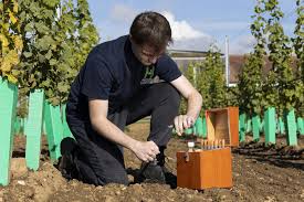 skills gap in the horticulture sector
