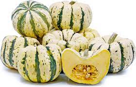 dumpling squash information and facts