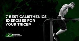 best calisthenics exercises for triceps
