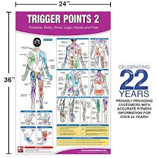 Trigger Point Therapy Chart Poster Set Acupressure Charts
