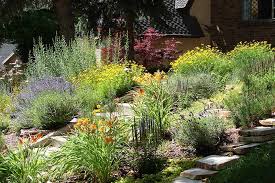 Native Wildflower Landscape