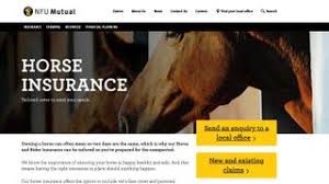 get the best equine insurance for the