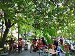 garden restaurants cafés in athens