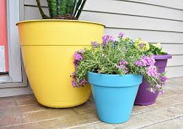 Colorful Flower Pot Trio