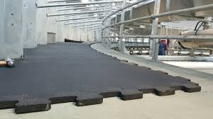 rubber flooring for dairy farms