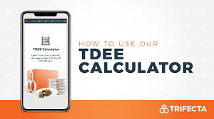tdee calculator get your daily