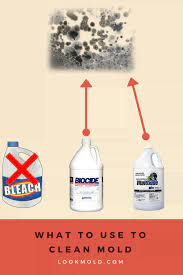 Does Bleach Kill Mold Using This