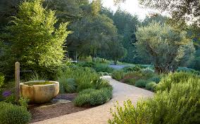 Mediterranean Garden Design Inspiration