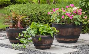 Ways To Improve Drainage For Plant Pots