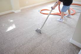 carpet cleaning payless pest control