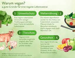 Argumente gegen veganer