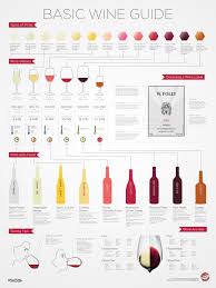 Basic Wine Guide For Beginners