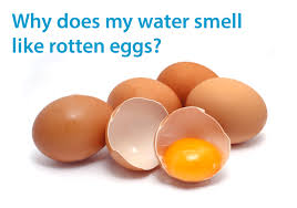 water smell like rotten eggs