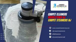 carpet cleaners middletown nj you