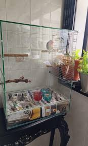 Beautiful Glass Bird Cage Pet Supplies