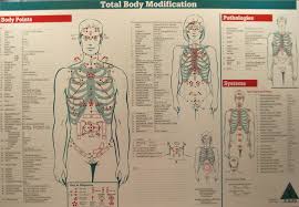 Total Body Modification Chiropractic Firsts Blog