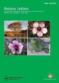 Full article: Scrophularia clematidifolia: an enigmatic species from ...