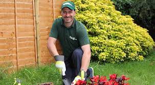 How To Find A Reliable Local Gardener