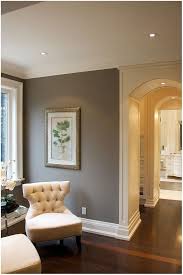 silver gray paint for living room