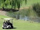 Golf Cart, Summit Pointe Golf Course, Milpitas, CA - Picture of ...
