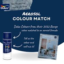 Dulux Colour Match Aerosol Spray Paint