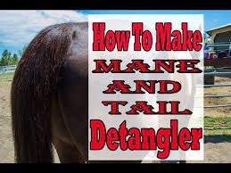 horse mane and tail detangler diy