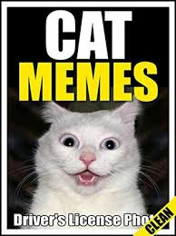 Discover millions of popular & trending #catur hashtags. Memes Cat Memes Epic Funny Cat And Animal Memes And Jokes Hilarious Meme Books By Memes