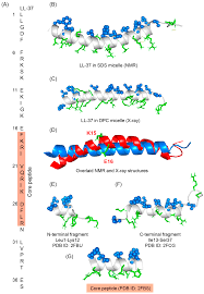 relevant antimicrobial peptides