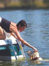 If your dog hates bathtub baths, preparing with a tub full of water and a warm bathroom before you even introduce your dog into the water might speed the procedure up and make it quicker for your pup. 5 Best Dog Boat Ladder Choices For 2020 For Safe Boating With Dogs