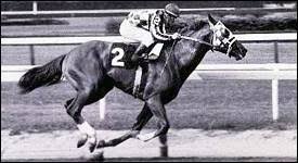 did-secretariat-really-win-by-31-lengths