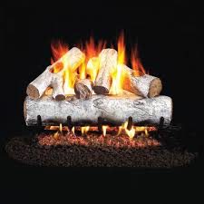 Real Fyre W White Birch Vented Gas Log