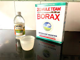 Borax Cleaning S