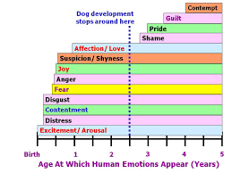 Which Emotions Do Dogs Actually Experience Psychology Today