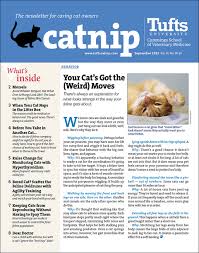 catnip newsletter magazine agent com