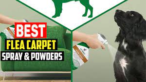 top 5 best flea carpet spray powders