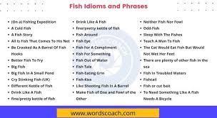 fish idioms and phrases word coach