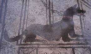 Pompei. Il mosaico “Cave Canem” della domus del Poeta Tragico – Aquinum