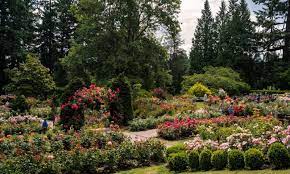 Portland International Rose Test Garden