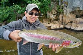 how to catch rainbow trout tips for