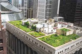 Chicago Ecosistema Urbano