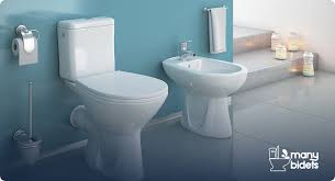 What Is A Bidet And How To Use One