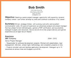 Job Objective Ideas Example For Resume Professional Gray