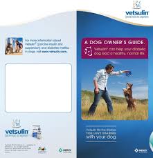 A Dog Owner S Guide With Your Dog Vetsulin Can Help Your