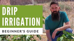 Drip irrigation is one of the most efficient ways to deliver water to the plants in your landscape. Installing Drip Irrigation In Vegetable Garden A Beginners Guide To Drip Irrigation Youtube