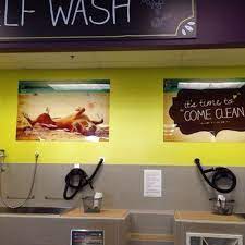 Maybe you would like to learn more about one of these? Unleashed By Petco Photos Petco Dog Wash Self Serve