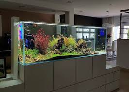 livingroom ideas | Aquarium, Diy aquarium, Home aquarium gambar png