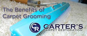 the benefits of carpet grooming