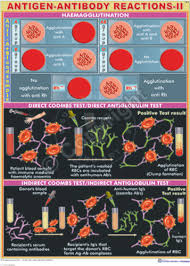 Antigen Antibody Reactions Chart
